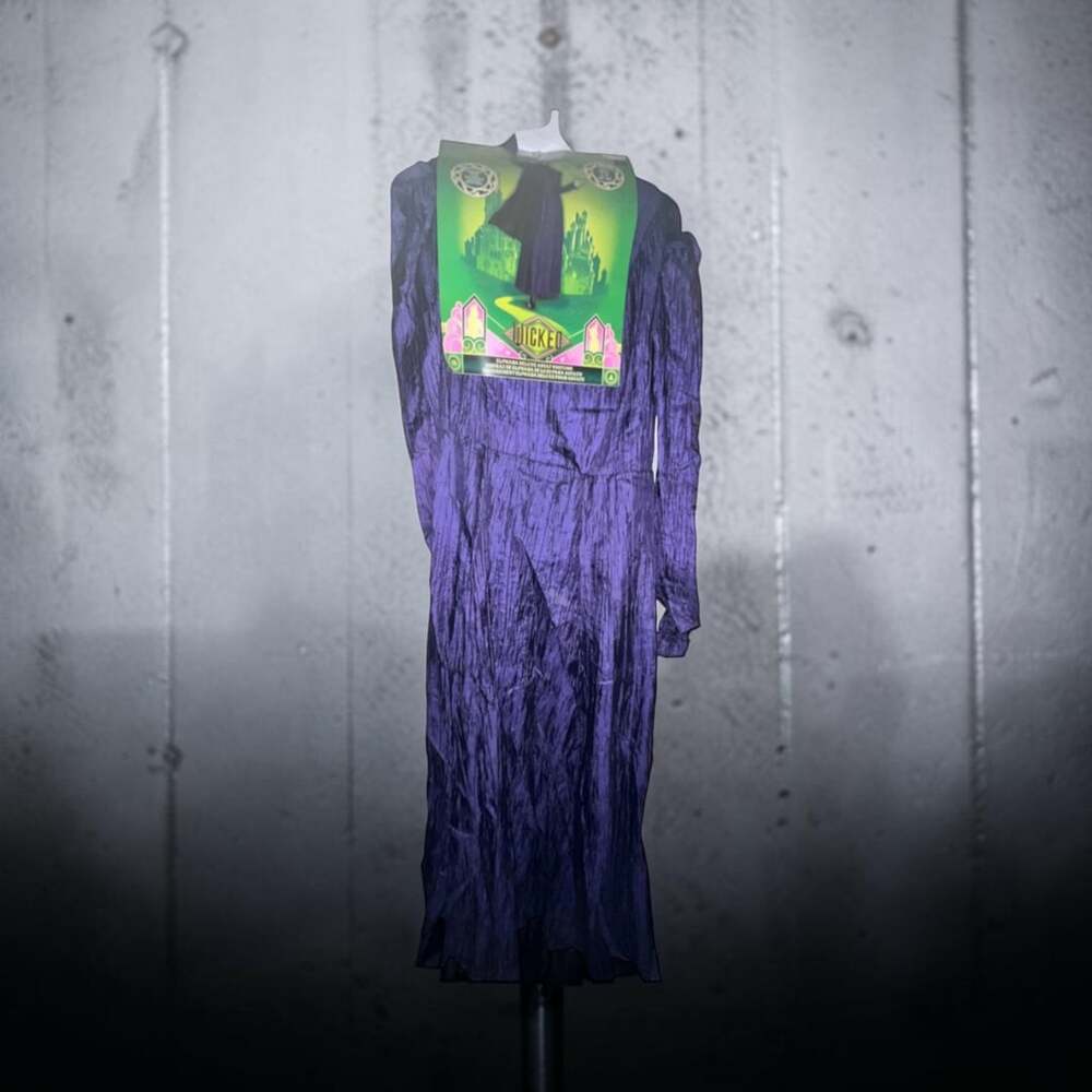 Disguise Wicked Elphaba Deluxe Adult Costume Size L/G 12-14 Purple Dress